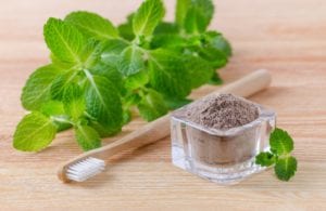 tooth powder shown with wood toothbrush and mint leaves