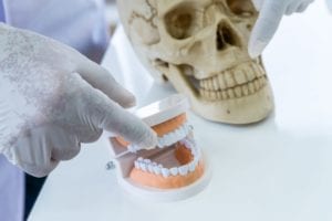forensic dentist making comparisons